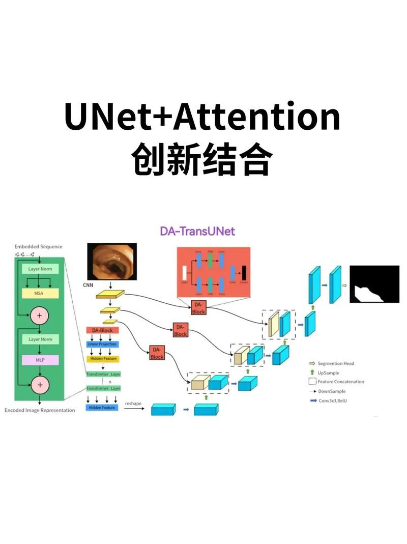 联合国教科文组织UNESCO究竟是做什么的？深入了解