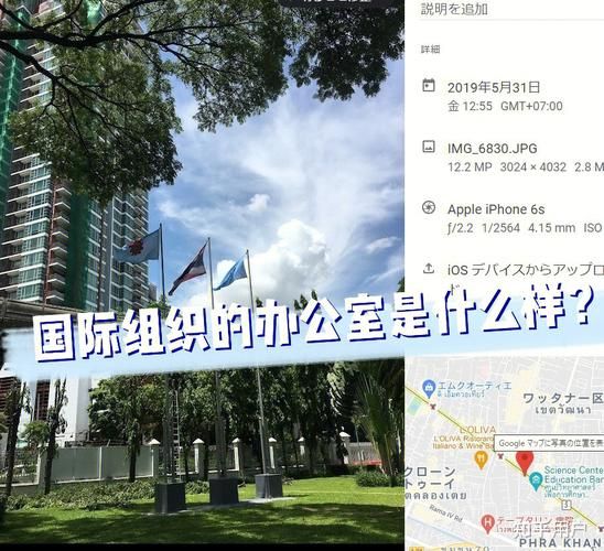 联合国教科文组织UNESCO究竟是做什么的？深入了解