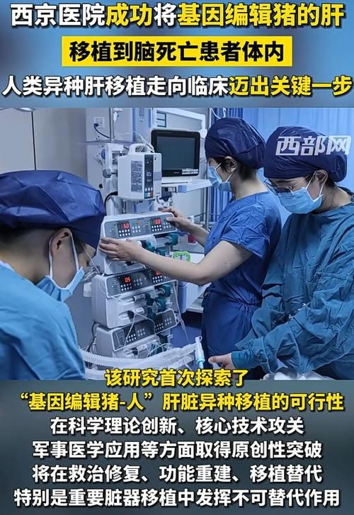 肝移植手术费用要多少？深度解析及省钱技巧分享