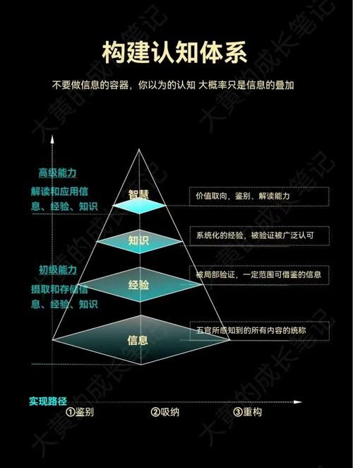 能力一般被分为三类：认知、操作和社交能力详解