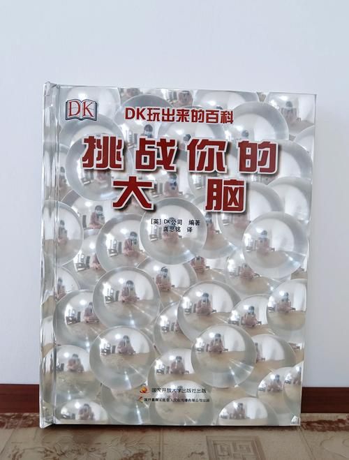 脑洞我超大：挑战你的极限，释放你的想象力