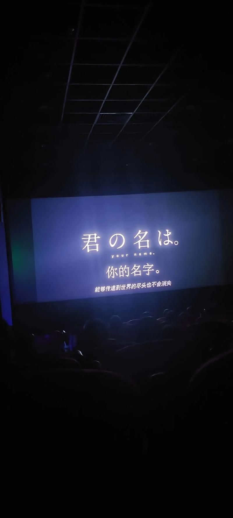 脑海里全是你的身影，却真的忘了你的名字