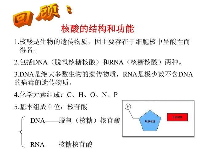 脱氧核糖是什么意思？这梗暗藏的含义你懂吗？