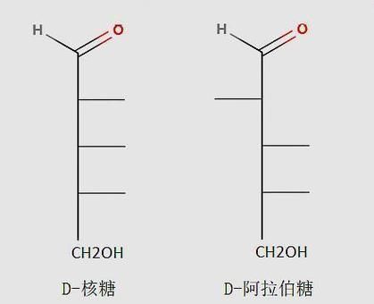 脱氧核糖是什么意思？这梗暗藏的含义你懂吗？