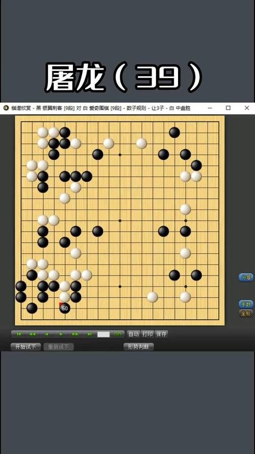 腾讯围棋电脑版：AI陪练，棋力提升快人一步！