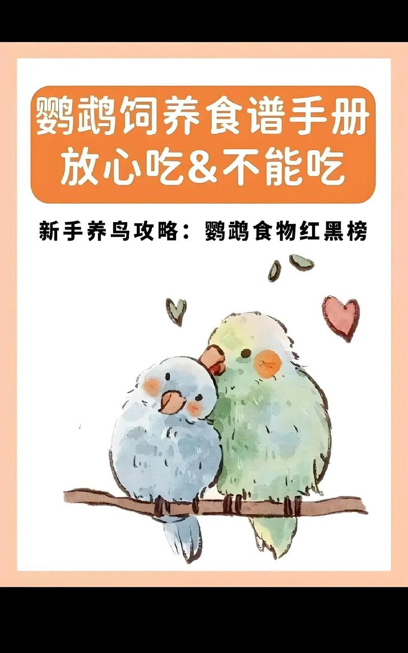 自制鸟食：详细配方及做法，让你的爱鸟吃得更健康