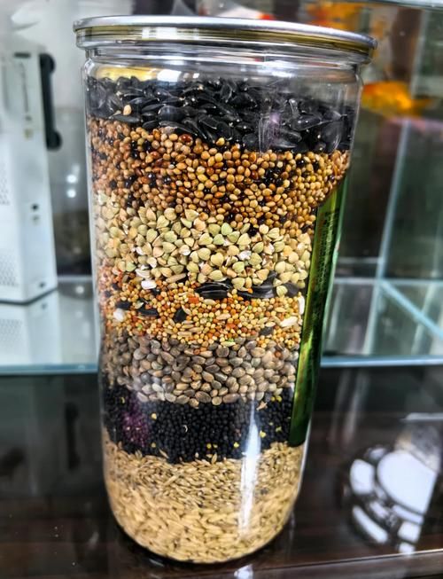 自制鸟食：详细配方及做法，让你的爱鸟吃得更健康