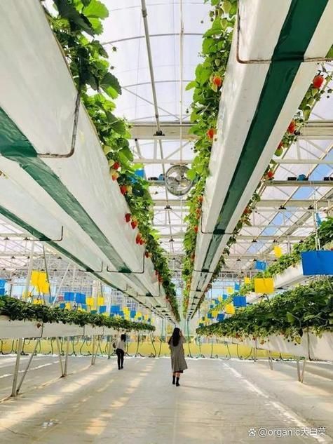 自己动手做空间种植塔：简单易学，打造专属立体花园