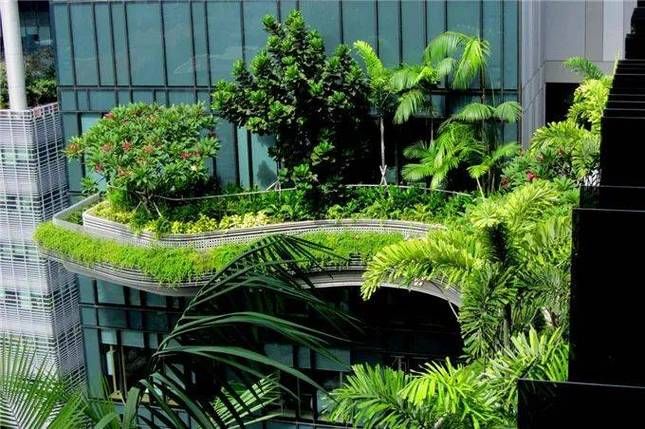 自己动手做空间种植塔：简单易学，打造专属立体花园
