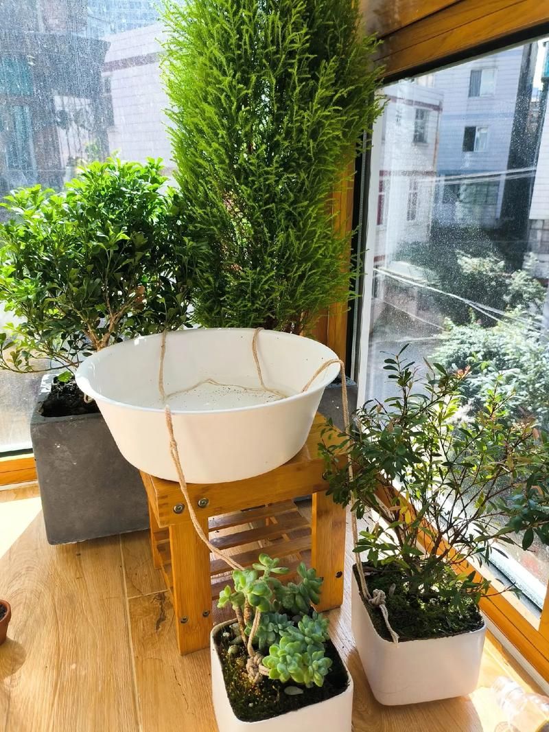自己动手做自动浇水器，简单易学省钱又实用