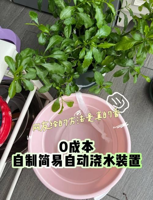自己动手做自动浇水器，简单易学省钱又实用