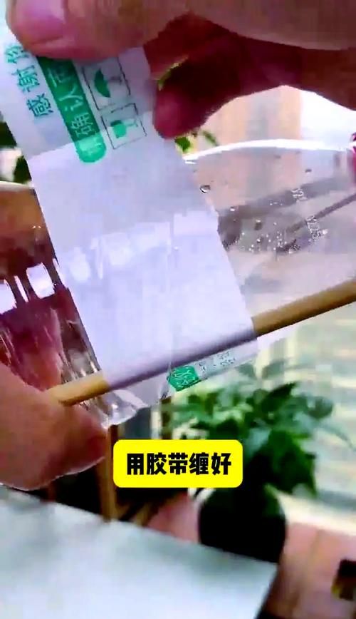 自己动手做自动浇水器，简单易学省钱又实用