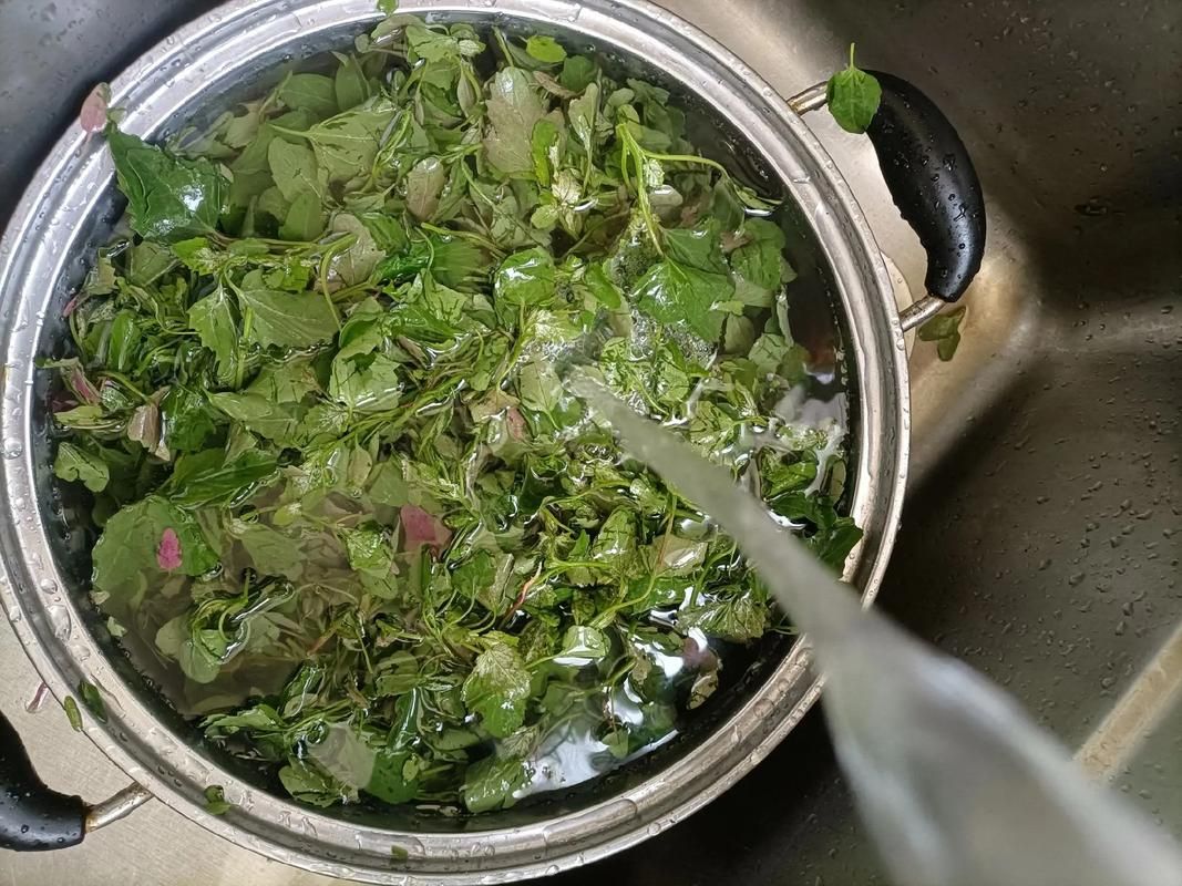 自己动手做草木灰，让你的蔬菜长得更好