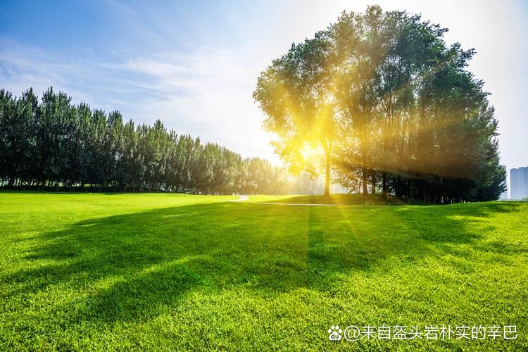 自然阳光：从容健康，活力无限，开启美好生活