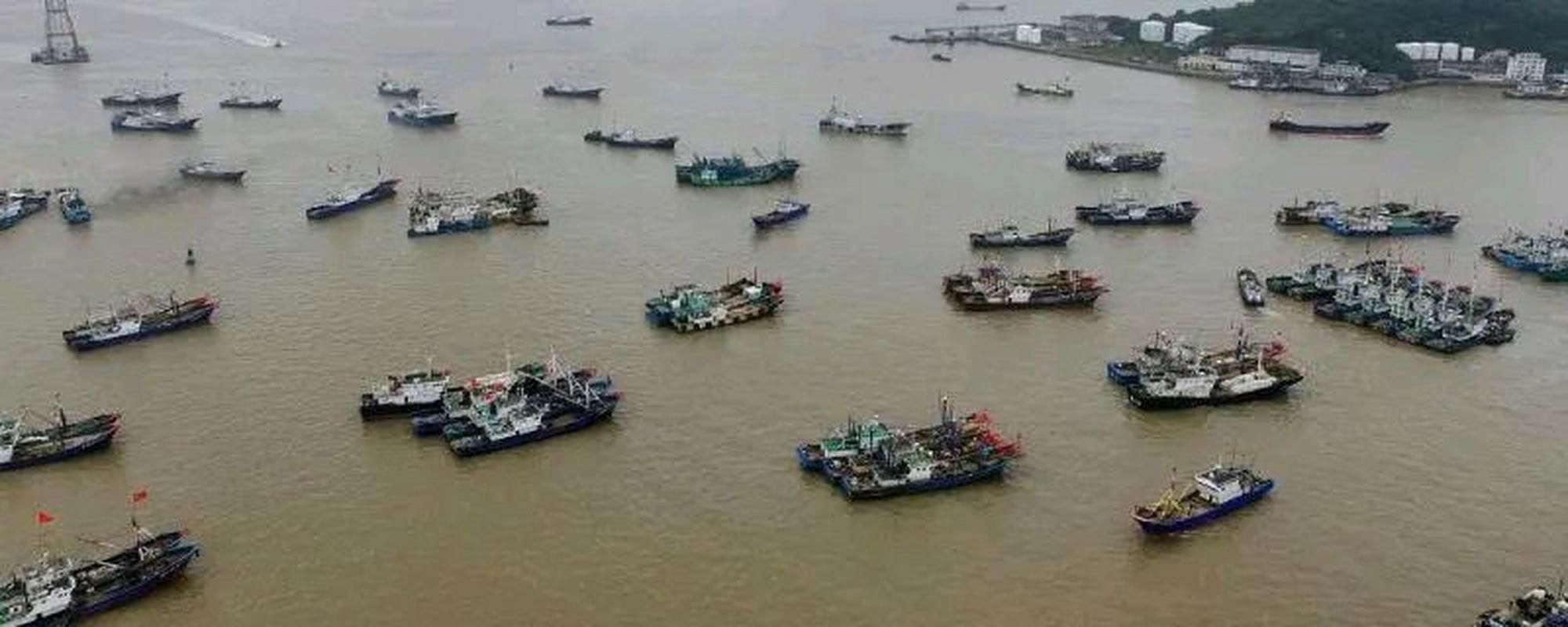 舟山渔场是中国第一大渔场吗？带你了解它的地位和重要性！