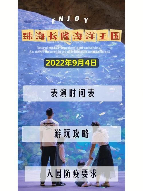 船长的宝藏获取方法详解：王权与自由游戏攻略