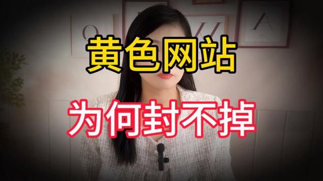 色晴网站泛滥成灾，我们该如何有效打击？