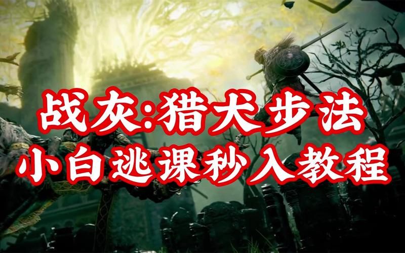 艾尔登法环存档怎么导入？新手小白也能轻松学会