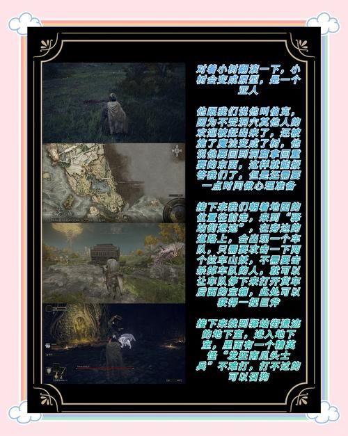艾尔登法环存档怎么导入？新手小白也能轻松学会