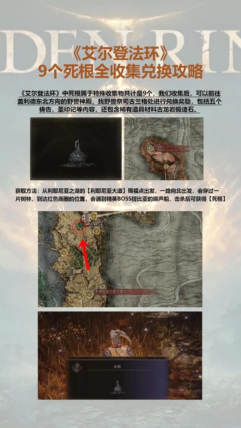 艾尔登法环死之鸟怎么打？弱点属性及应对策略分享