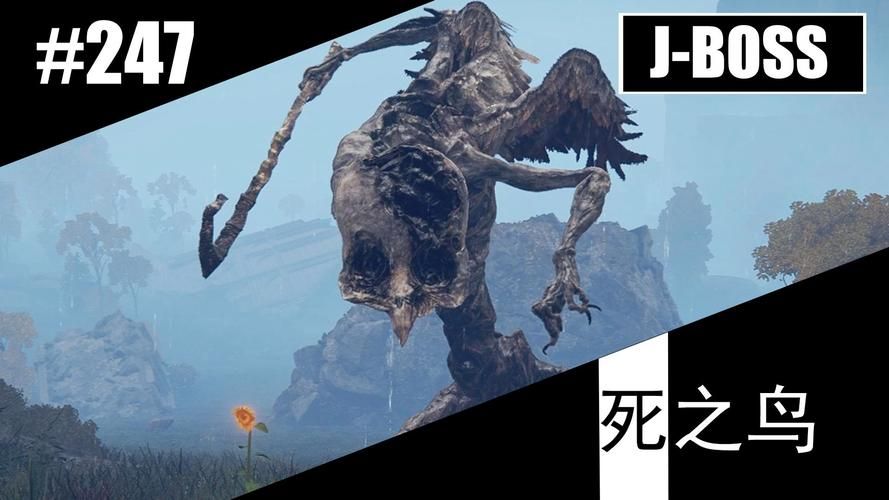 艾尔登法环死之鸟怎么打？弱点属性及应对策略分享