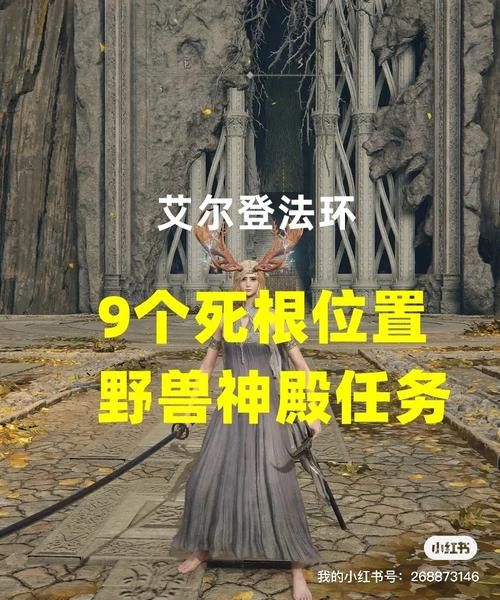 艾尔登法环死根作用是什么？死根使用方法及奖励