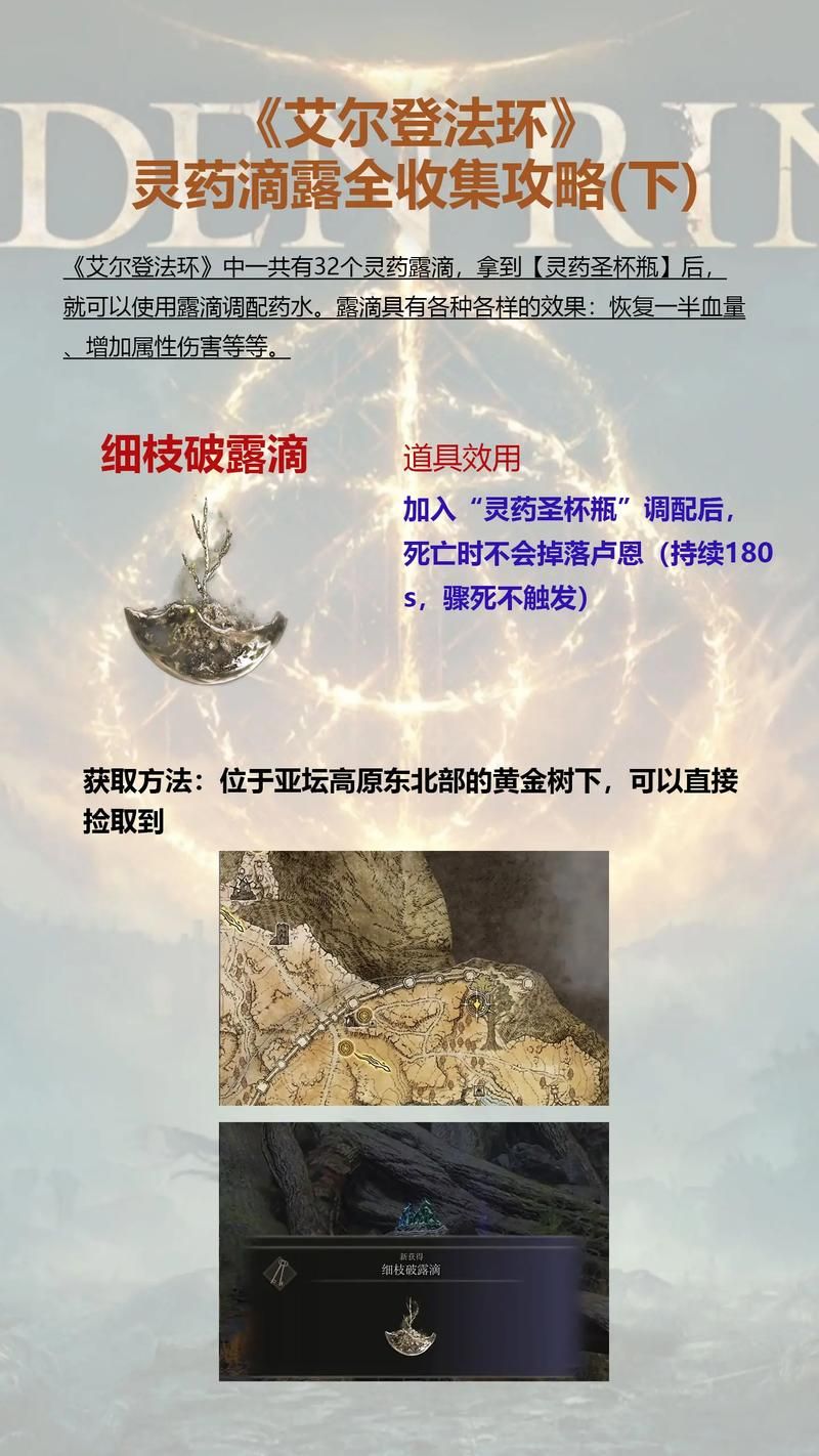艾尔登法环死根作用是什么？死根使用方法及奖励