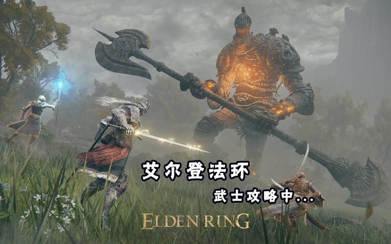 艾尔登法环褪色者英文怎么写？带你了解Fader的背景