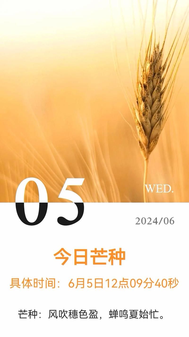 芒种节气朋友圈文案：分享你的芒种美好瞬间
