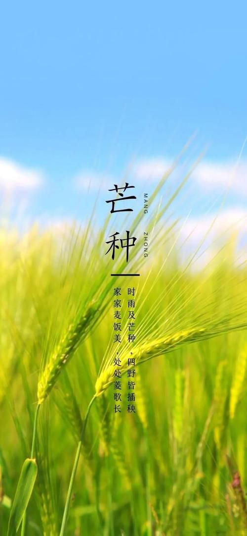 芒种节气朋友圈文案：分享你的芒种美好瞬间