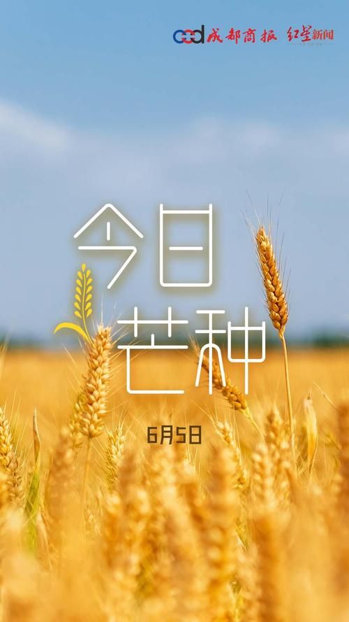 芒种节气朋友圈文案：分享你的芒种美好瞬间