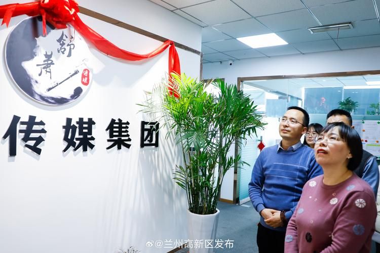 花季传媒网址可靠吗？深度解析其功能和安全性