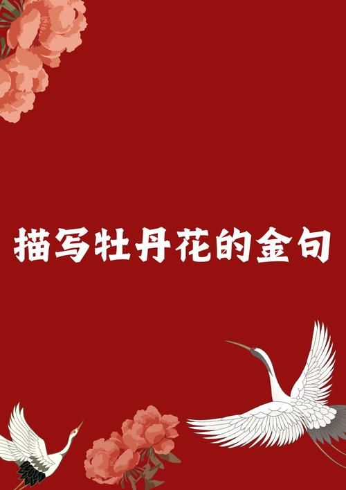 花店不开了，花儿依然盛开，生活还要继续精彩！