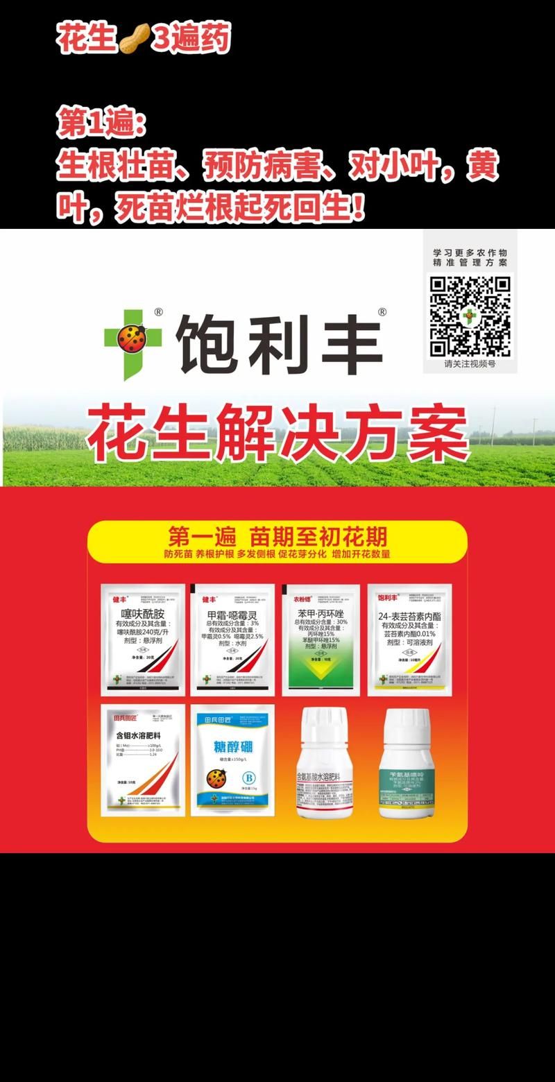 花生代理官网：千万IP任你选，稳定高速换IP神器