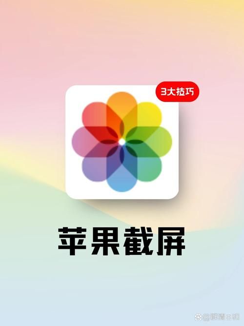 苹果11怎么截图？最全三种方法教程