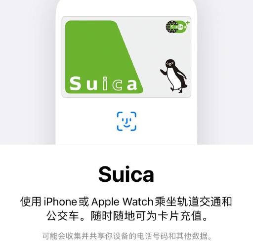 苹果充值失败？教你快速排查并解决问题