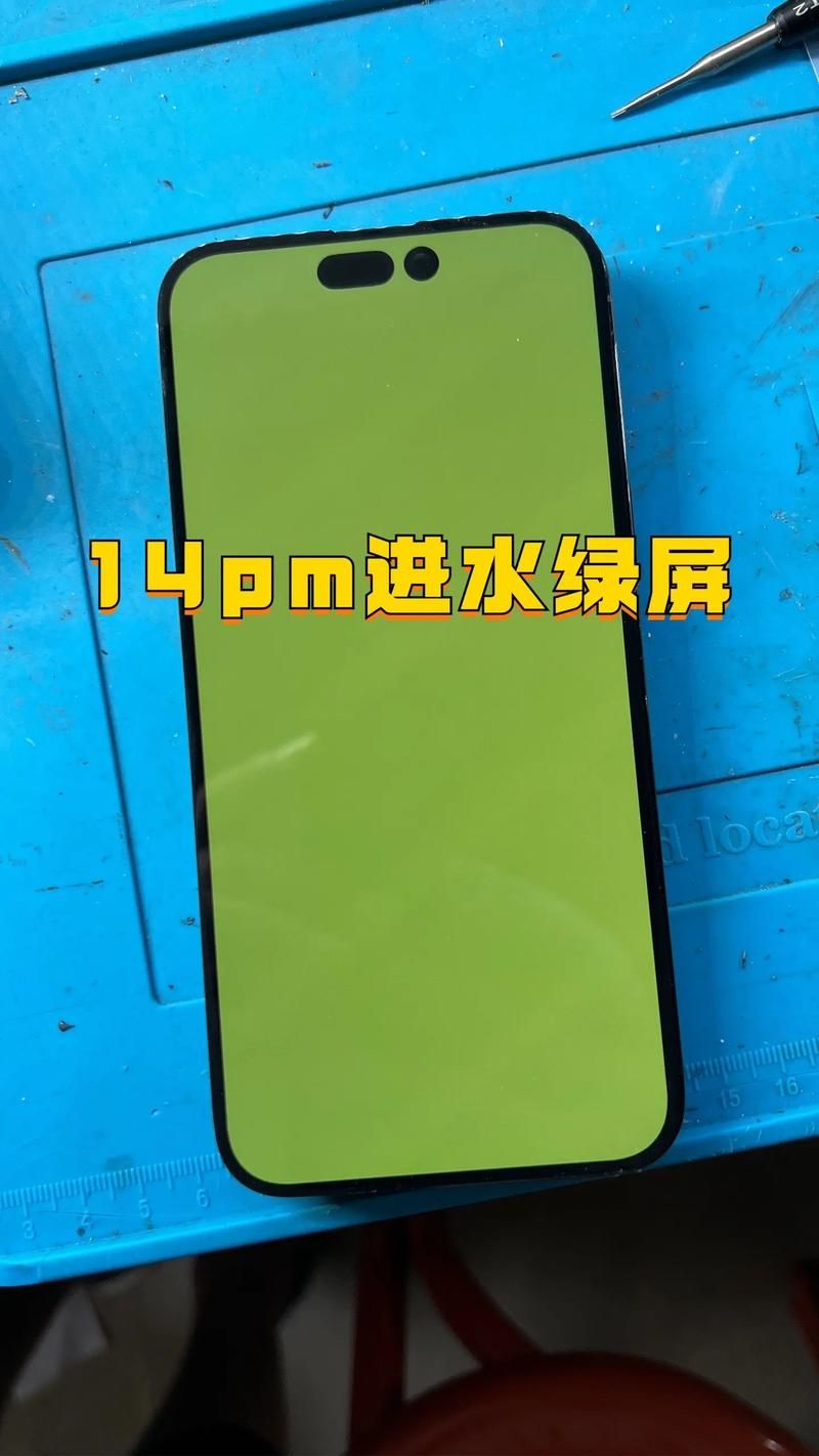 苹果手机镜头出现绿点？教你一招轻松修复照片