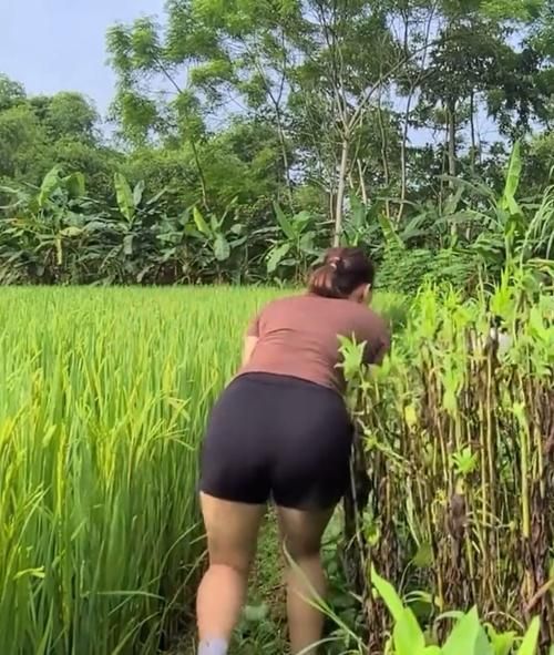 荒野大妈的精彩一天：野外捕猎，自给自足的快乐！