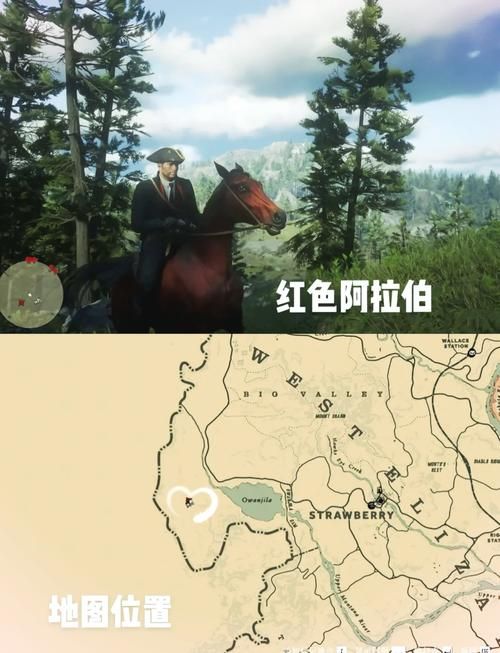 荒野大镖客2传说马获取指南：轻松驯服你的专属坐骑