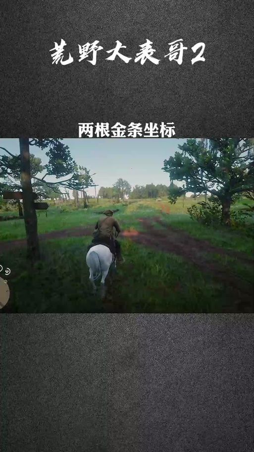 荒野大镖客2辅助神器：轻松刷金条，快速升级！