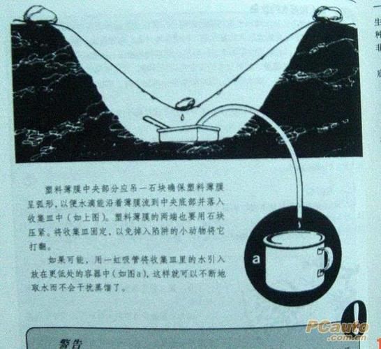 荒野求生9个太阳解图案攻略：快速通关秘籍分享