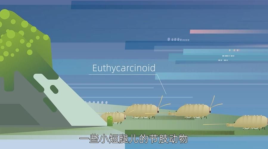 荒野求生9个太阳解图案攻略：快速通关秘籍分享