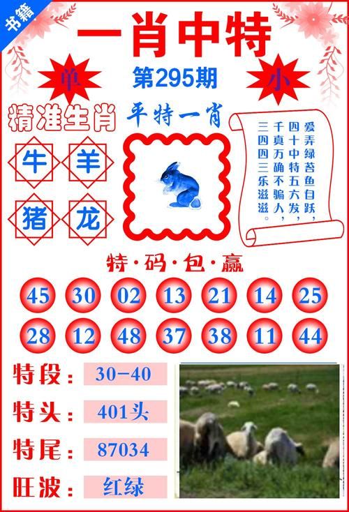 获取香港中特期期准资料：简单方法，快速上手