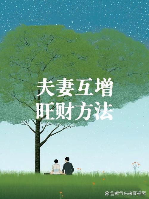 菜老板和新婚妻子：夫妻同心，其利断金