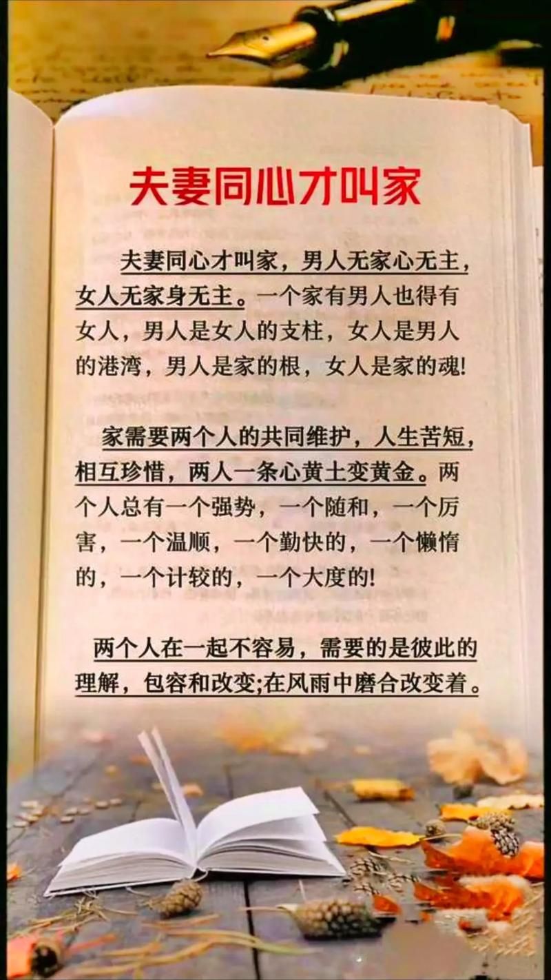 菜老板和新婚妻子：夫妻同心，其利断金