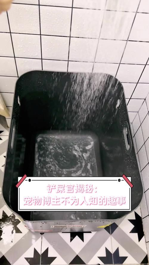 萌动世界：探索宠物知识，分享你的宠物趣事！