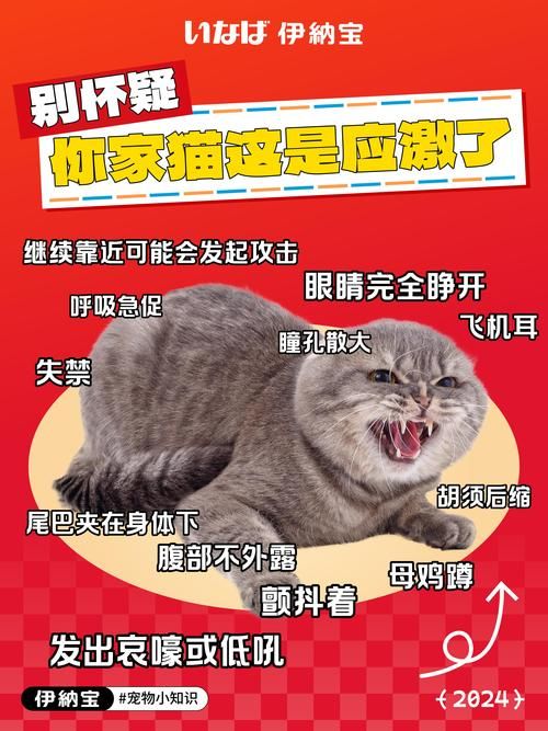 萌动世界：探索宠物知识，分享你的宠物趣事！