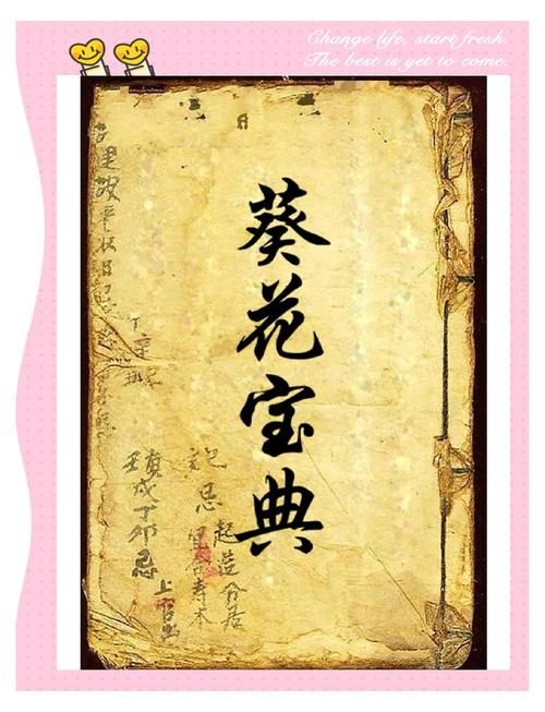 葵花宝典18入口安全吗？网友真实体验揭秘