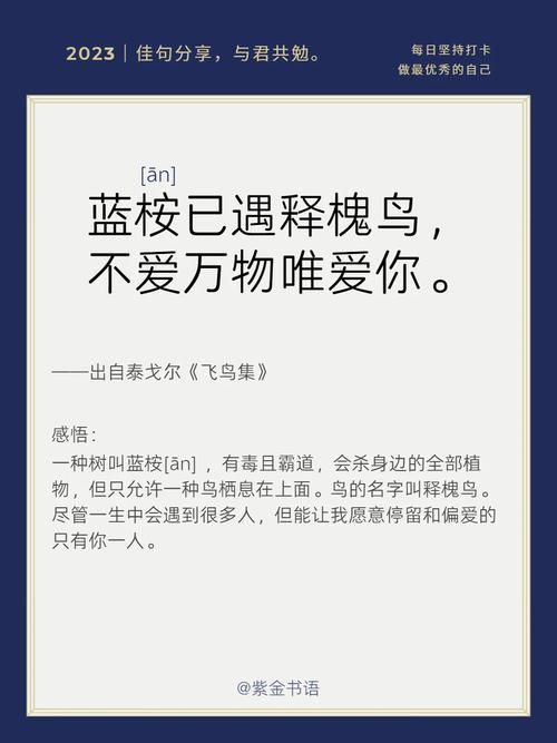 蓝桉已遇释槐鸟下一句是什么？揭秘爱情诗句的含义