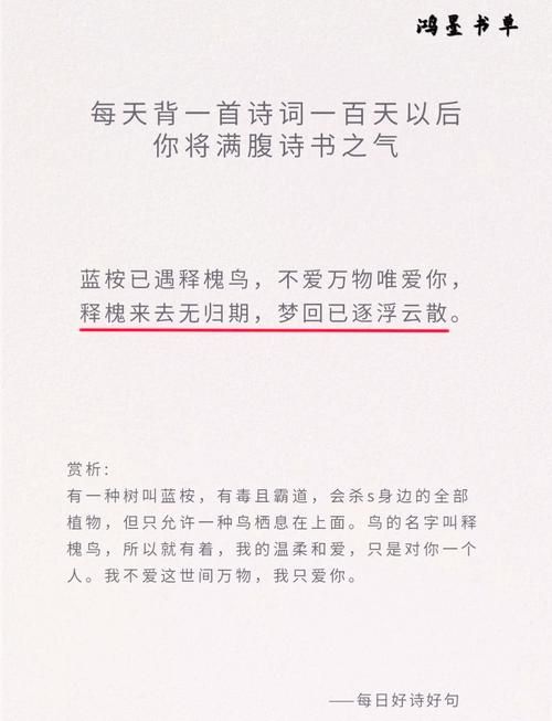 蓝桉已遇释槐鸟下一句是什么？揭秘爱情诗句的含义